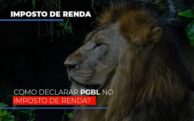 Ir2020:como Declarar Pgbl No Imposto De Renda Notícias E Artigos Contábeis Notícias E Artigos Contábeis - Alcance Empresarial