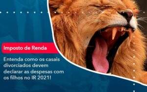 Entenda Como Os Casais Divorciados Devem Declarar As Despesas Com Os Filhos No Ir 2021 1 Organização Contábil Lawini - Alcance Empresarial