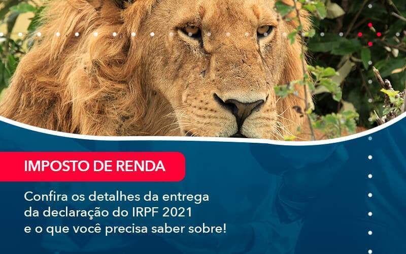 Confira Os Detalhes Da Entrega Da Declaracao Do Irpf 2021 E O Que Voce Precisa Saber Sobre 1 Organização Contábil Lawini - Alcance Empresarial