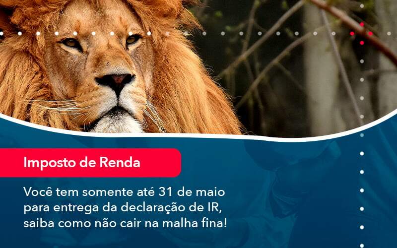 Voce Tem Somente Ate 31 De Maio Para Entrega Da Declaracao De Ir Saiba Como Nao Cair Na Malha Fina 1 - Alcance Empresarial